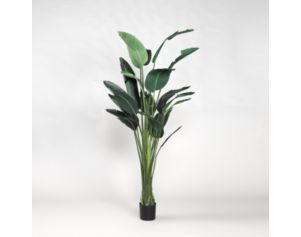 D & W Silks, Inc 8-Foot Artificial Traveler Palm Tree