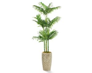 D & W Silks, Inc 72-Inch Golden Palm Plant