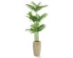 D & W Silks, Inc 72-Inch Golden Palm Plant small image number 1