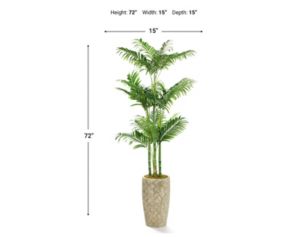 D & W Silks, Inc 72-Inch Golden Palm Plant