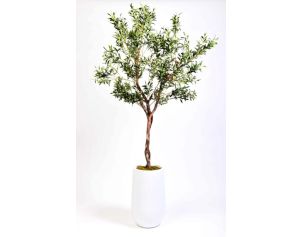 D & W Silks, Inc 7-Foot Artificial Olive Tree in White Pot