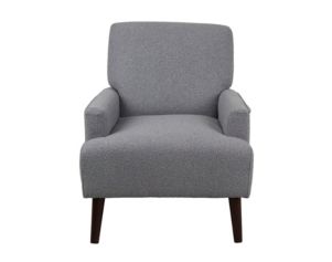 Elements Int'l Group Kiwi Gray Accent Chair