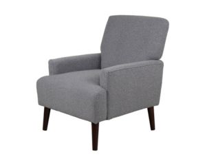 Elements Int'l Group Kiwi Gray Accent Chair