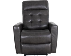 Elements Int'l Group All Star Gray Leather Power Recliner