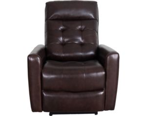 Elements Int'l Group All Star Brown Leather Power Recliner