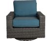Erwin And Sons Santa Cruz Outdoor Swivel Glider small image number 1