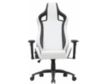 Furniture Of America Good Game White and Black Racing Gaming Chair small image number 1