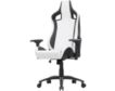 Furniture Of America Good Game White and Black Racing Gaming Chair small image number 2