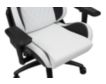 Furniture Of America Good Game White and Black Racing Gaming Chair small image number 5