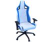 Furniture Of America Good Game White and Blue Racing Gaming Chair small image number 1