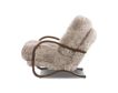 Four Hands Tobin Taupe Magnolian Fur Accent Chair small image number 6