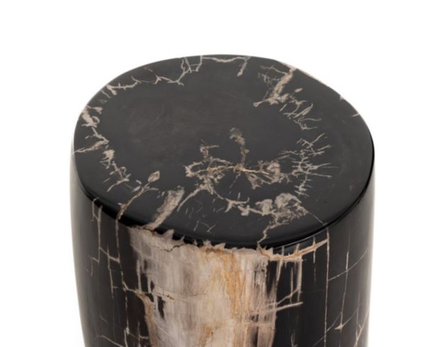 Four Hands Kos Dark Petrified Wood End Table large image number 4