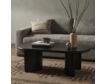 Four Hands Haiden Black Acacia Coffee Table small image number 9