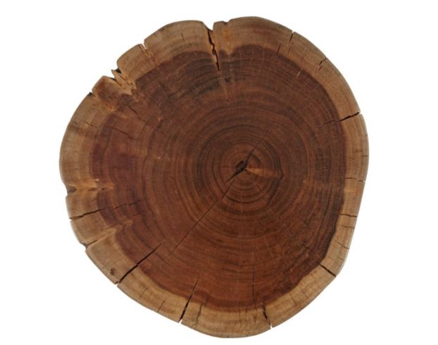 Jofran Madera Tree Stump Accent Table large image number 3