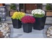 Amish Outdoors 18" Black Planter small image number 2