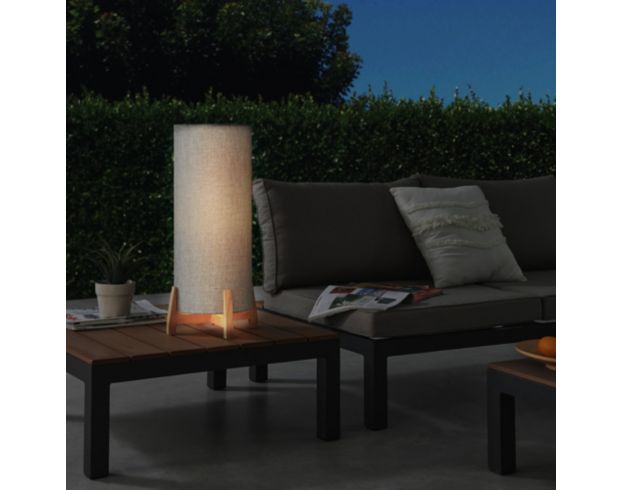 Lite Source Canyon Gray Table Lamp large image number 4