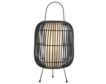 Lite Source Clement Black Table Lamp small image number 1