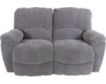 La-Z-Boy Hayes Reclining Loveseat small image number 1