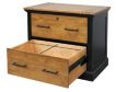 Martin Furniture Toulouse Lateral File small image number 5