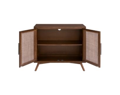 Martin Svensson Home Mid-Century Modern Cinnamon 2-Door Accent Cabinet