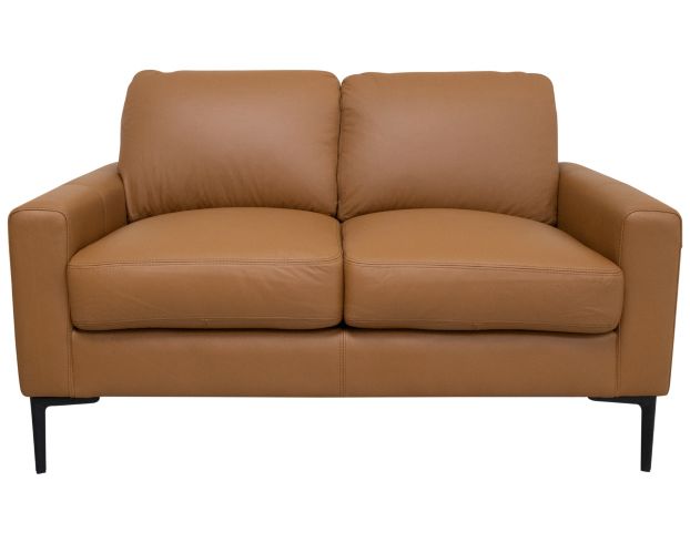 North American Leather Condo Genuine Leather Loveseat large image number 1