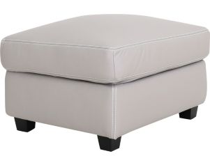 North American Leather Metro 100% Leather Ottoman