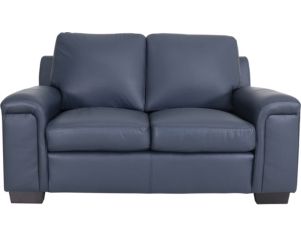 North American Leather Icon 100% Leather Loveseat