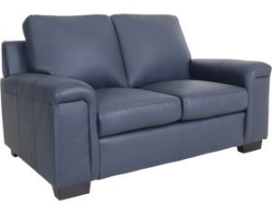 North American Leather Icon 100% Leather Loveseat