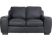 North American Leather Vantage 100% Leather Loveseat small image number 1