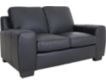 North American Leather Vantage 100% Leather Loveseat small image number 2