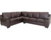 North American Leather Maxwell 100% Leather 2-Piece Sectional small image number 1