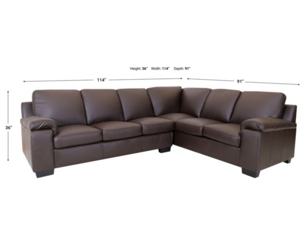 North American Leather Maxwell 100% Leather 2-Piece Sectional large image number 5