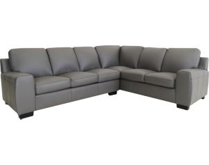 North American Leather Vantage 100% Leather 2-Piece Sectional