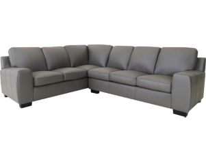 North American Leather Vantage 100% Leather 2-Piece Sectional