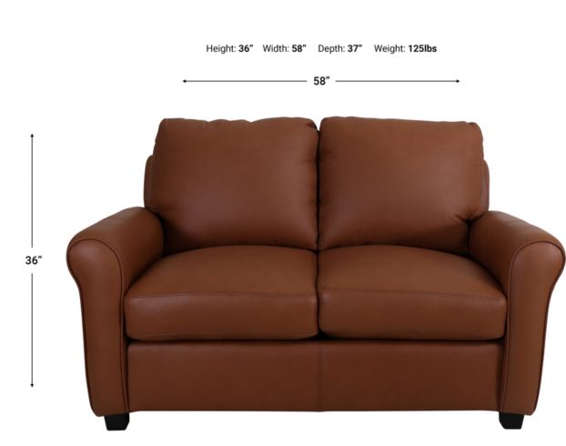 North American Leather Laguna 100% Leather Loveseat large image number 6
