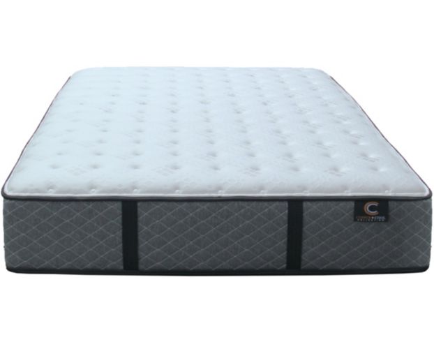 Sleeptronic Copper Elite Firm Twin Mattress large image number 2