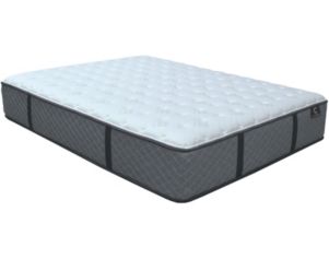 Sleeptronic Copper Elite Firm Queen Mattress