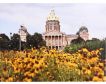 Prestige Arts Des Moines Flowers at the Capitol 36 X 48 small image number 1