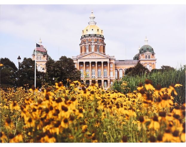 Prestige Arts Des Moines Flowers at the Capitol 36 X 48 large image number 1