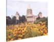 Prestige Arts Des Moines Flowers at the Capitol 36 X 48 small image number 2