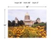 Prestige Arts Des Moines Flowers at the Capitol 36 X 48 small image number 3