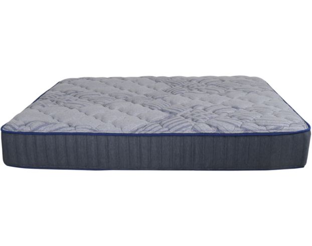 Spring Air Mt Aspen Firm Twin Mattress large image number 1