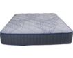 Spring Air Mt Aspen Firm Twin Mattress small image number 2