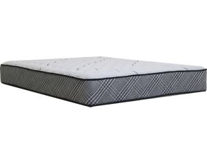 Spring Air Deluxe Firm Twin Mattress