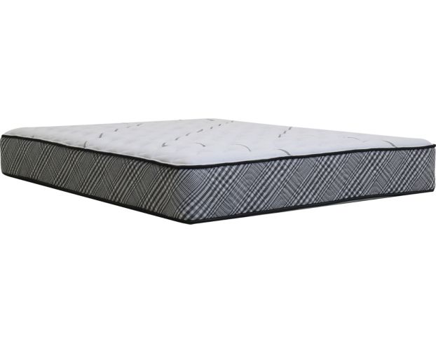 Spring Air Deluxe Firm Twin Mattress large image number 1