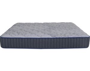 Spring Air Mt Aspen Plush Twin XL Mattress