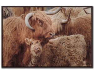 Streamline Art 30x45 Highland Under Cover Wall Art