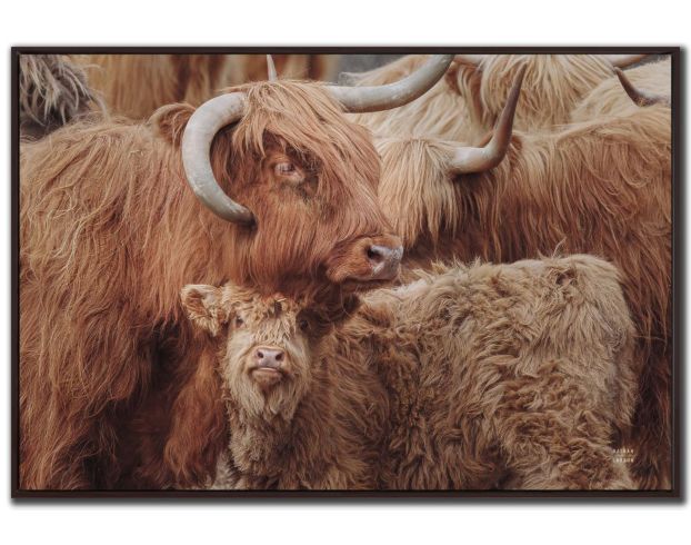 Streamline Art 30x45 Highland Under Cover Wall Art large image number 1