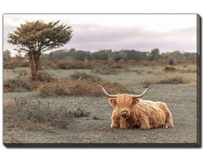 Streamline Art Highland Cow II 30 X 45 Canvas