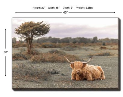 Streamline Art Highland Cow II 30 X 45 Canvas